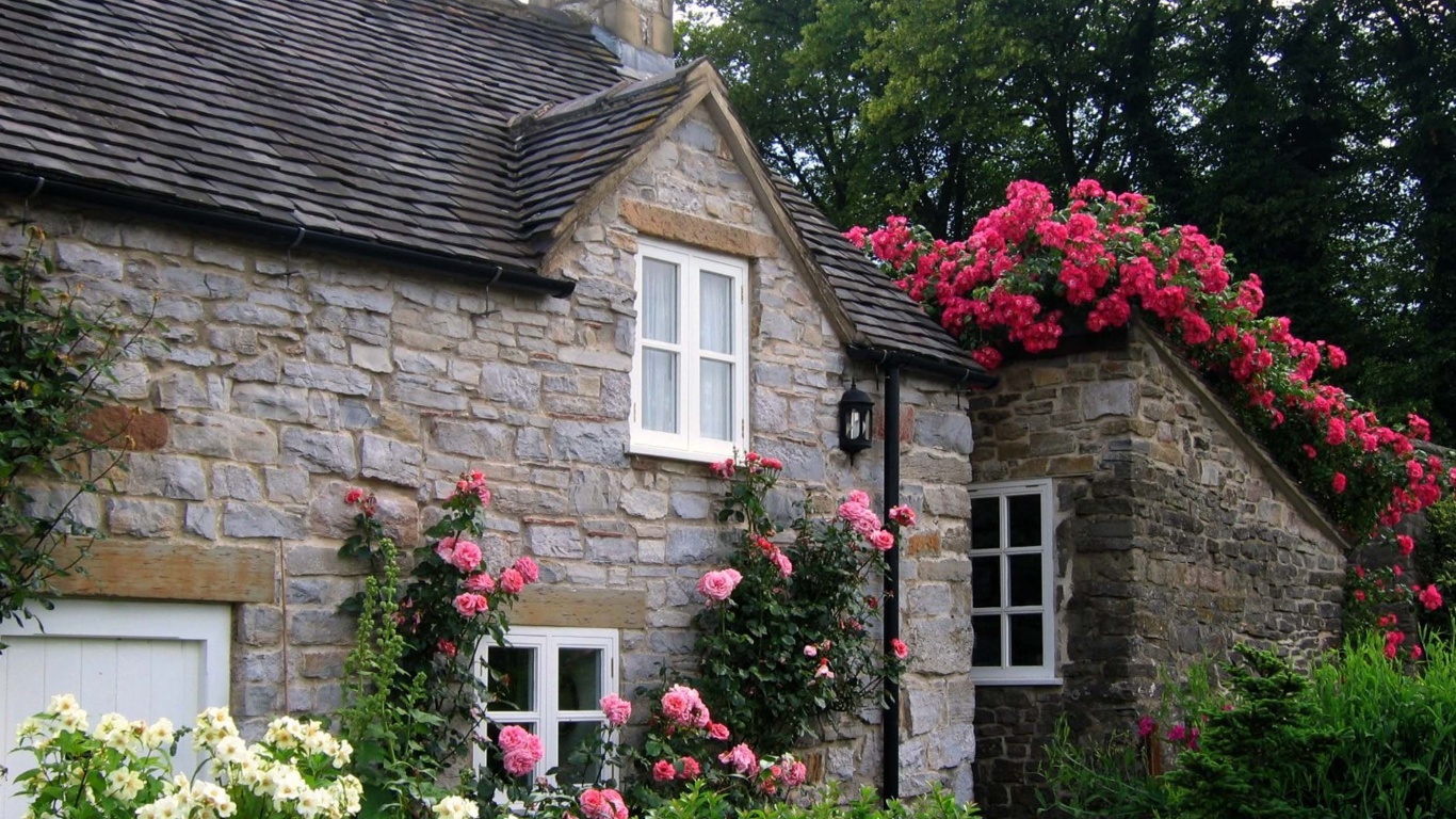 Cottage With Roses Village Of Thorpe Tissington Trail Derbyshire