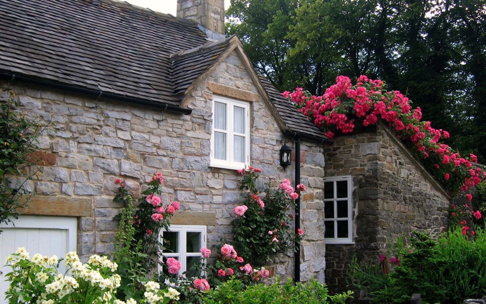 Cottage With Roses Village Of Thorpe Tissington Trail Derbyshire