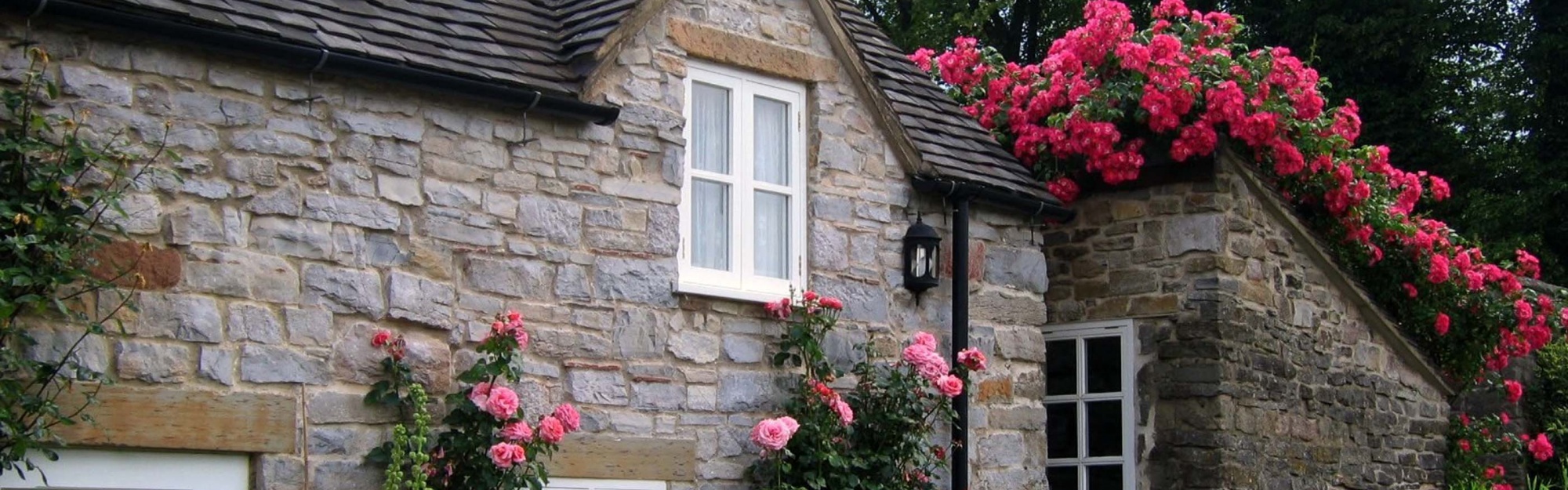 Cottage With Roses Village Of Thorpe Tissington Trail Derbyshire