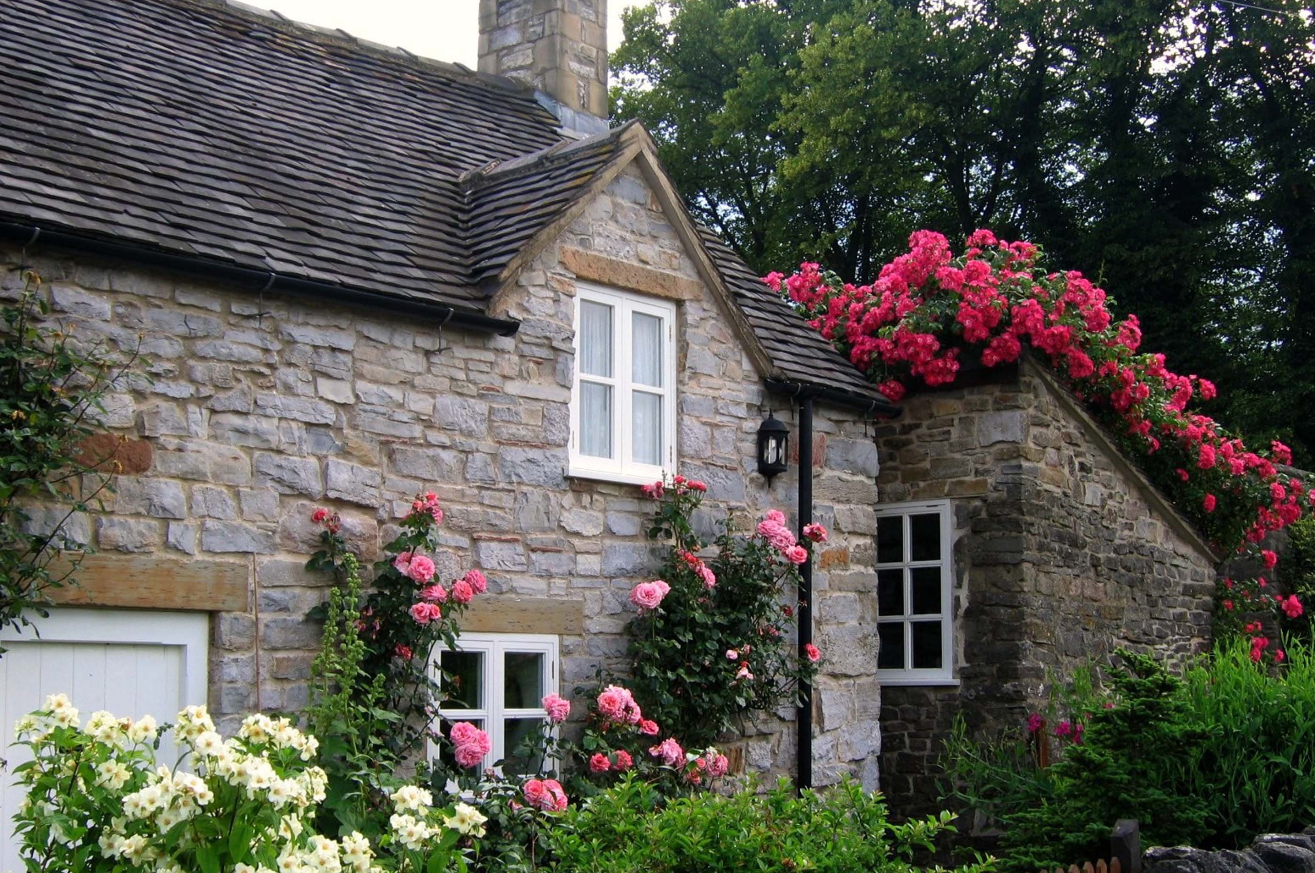 Cottage With Roses Village Of Thorpe Tissington Trail Derbyshire