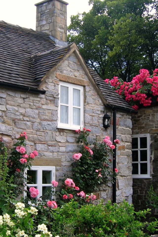 Cottage With Roses Village Of Thorpe Tissington Trail Derbyshire