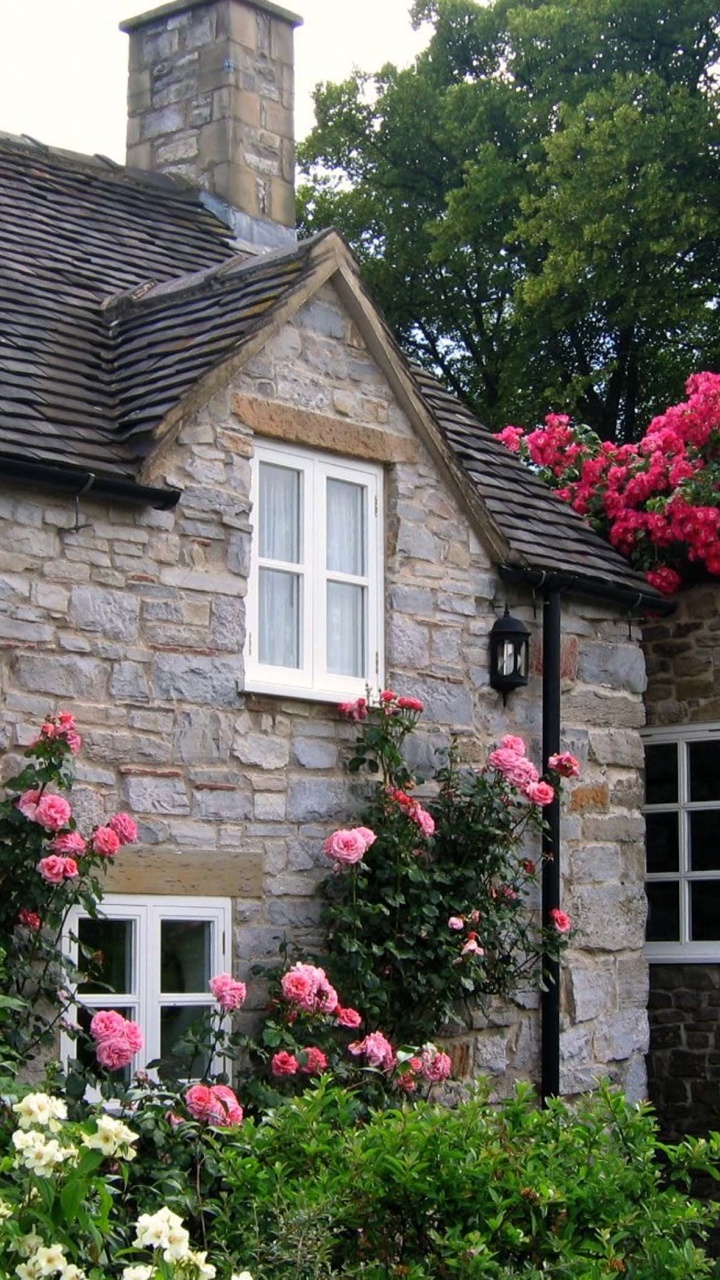 Cottage With Roses Village Of Thorpe Tissington Trail Derbyshire