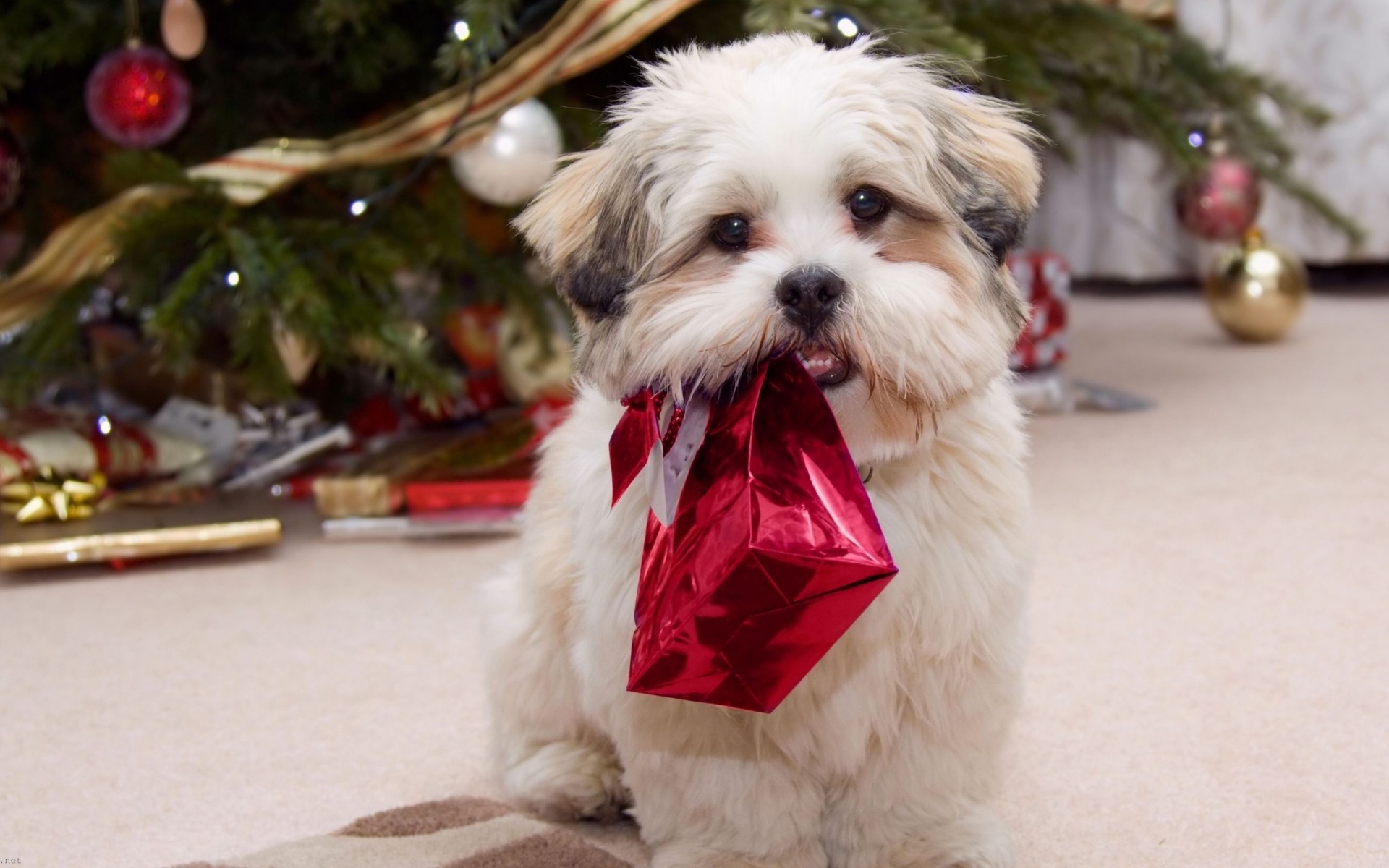 Cute Puppy With Present Gifts Christmas Tree