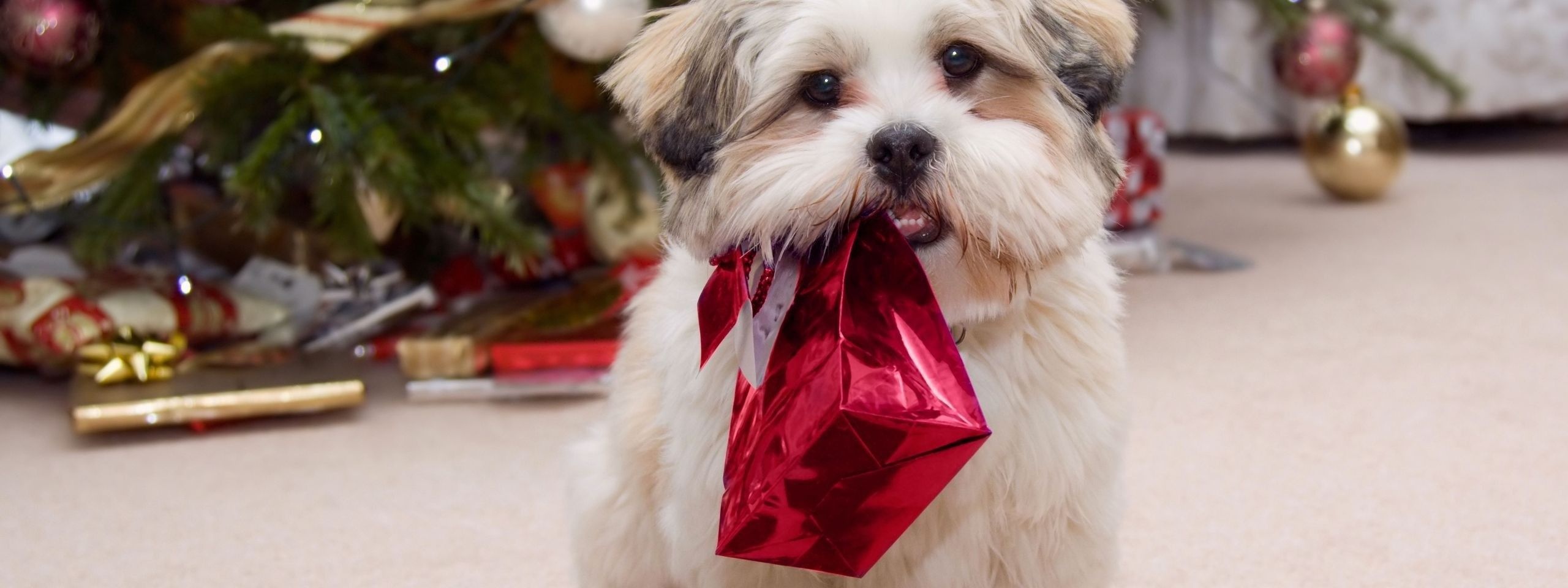 Cute Puppy With Present Gifts Christmas Tree