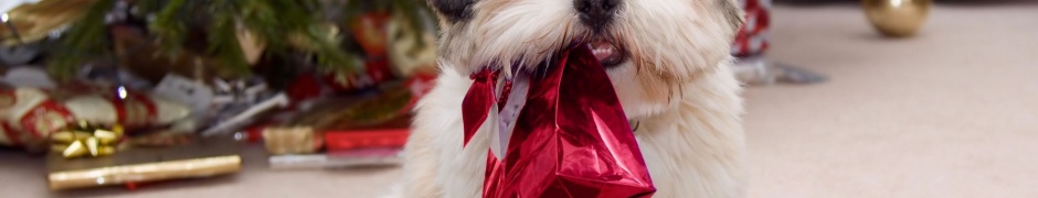 Cute Puppy With Present Gifts Christmas Tree