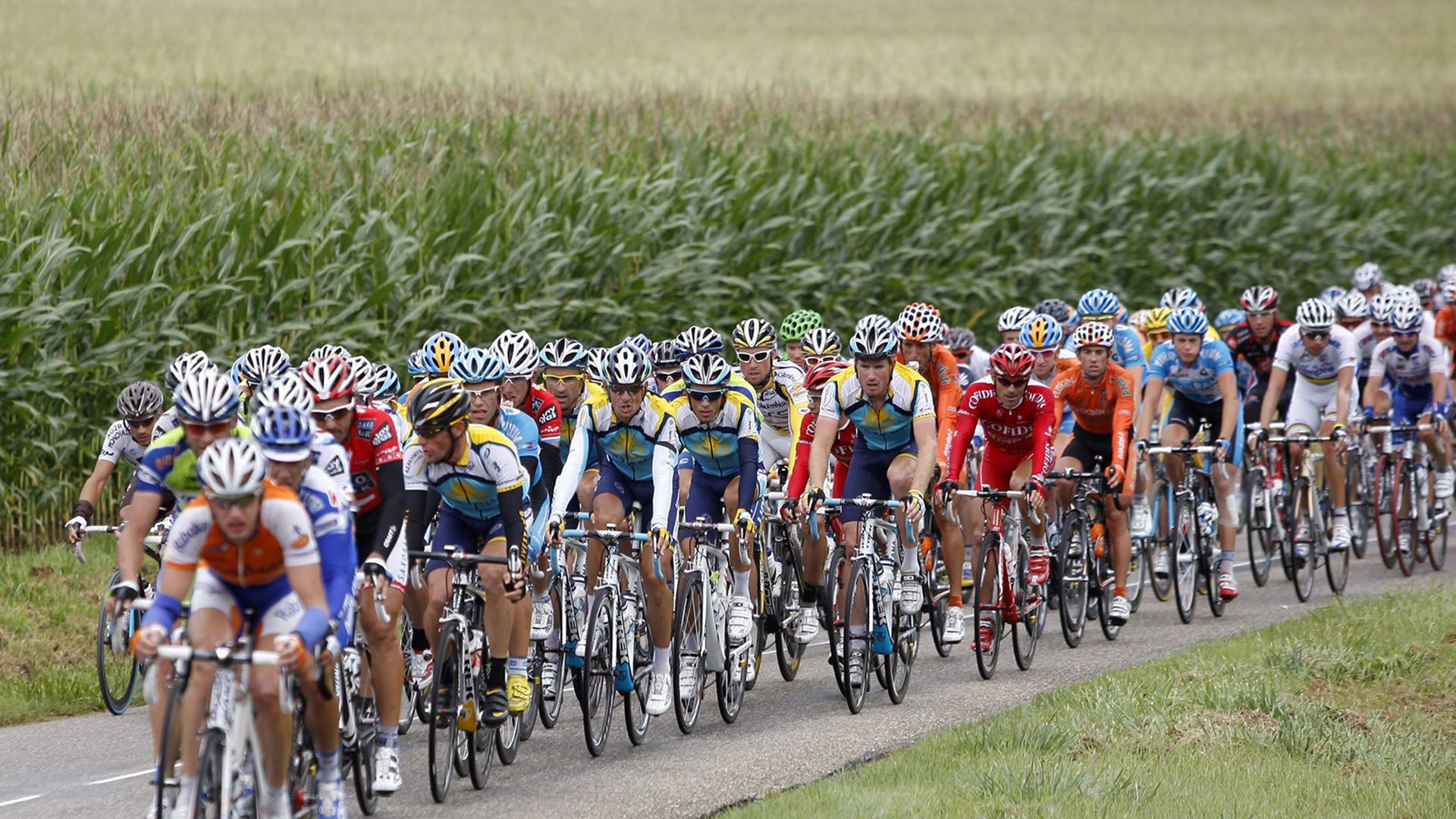 Cyclists - Le Tour De France