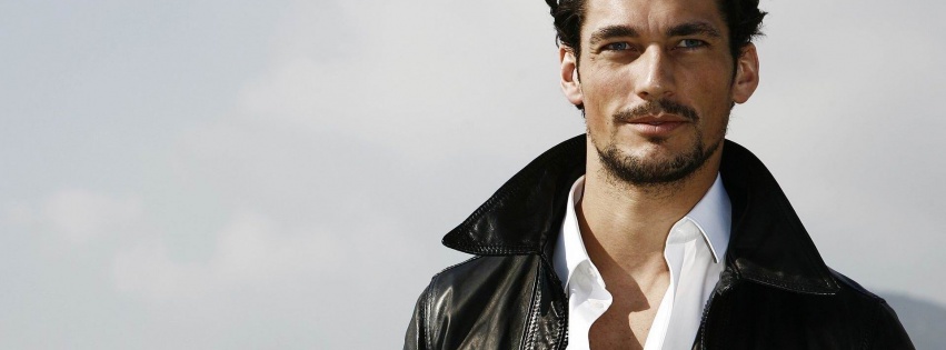 David Gandy