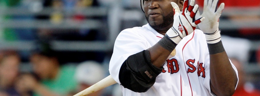 David Ortiz Baseball Player