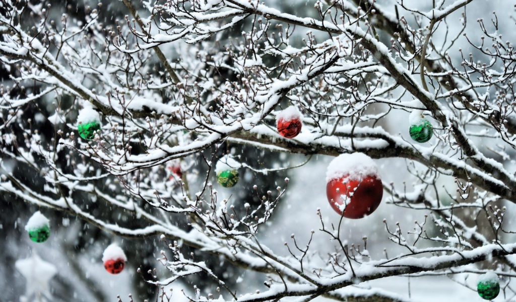 Decorated Tree Branches