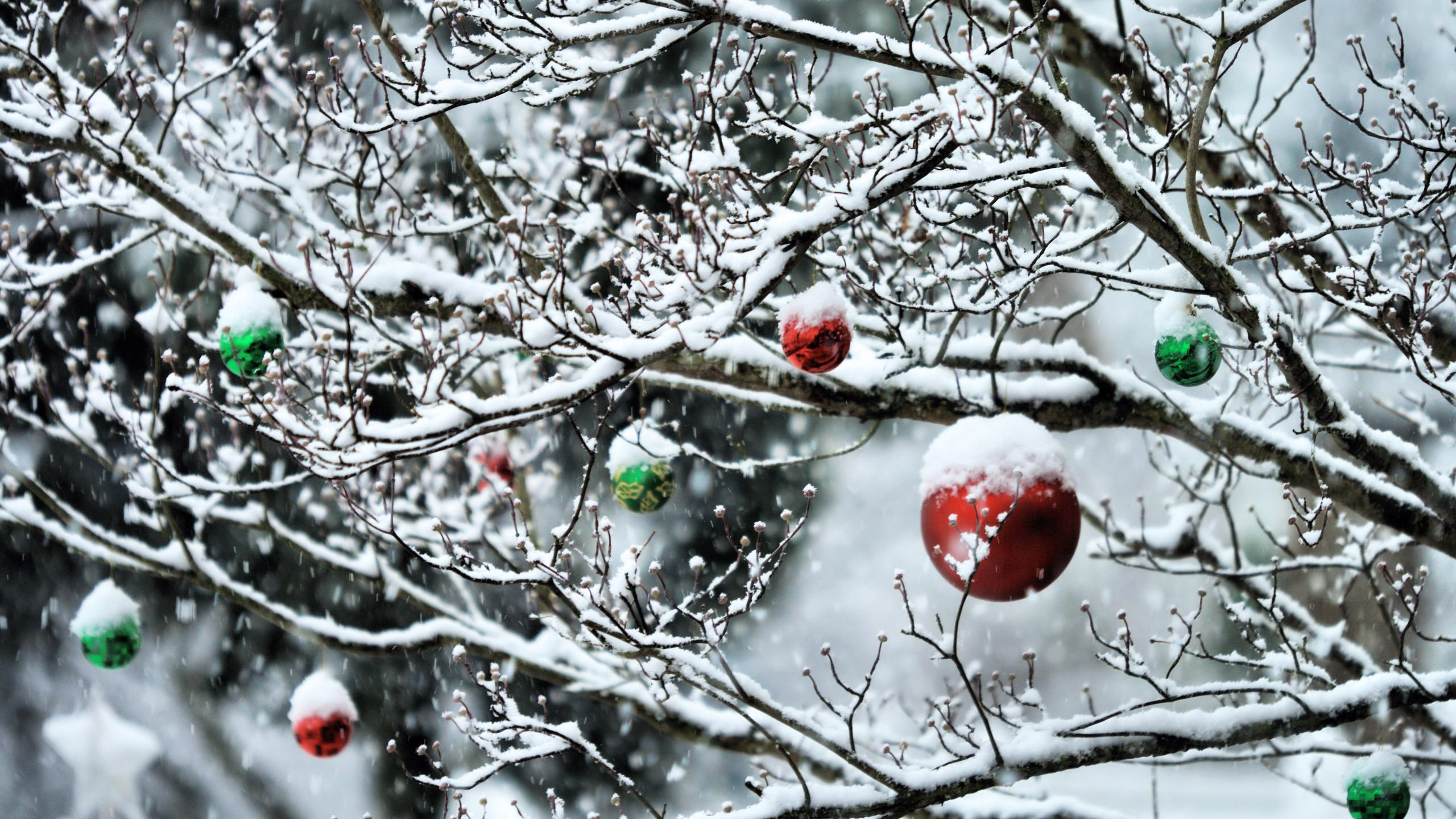 Decorated Tree Branches