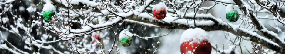 Decorated Tree Branches