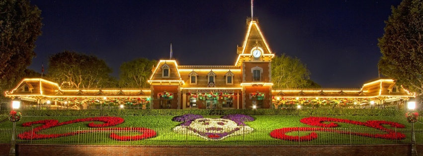 Disneyland Christmas