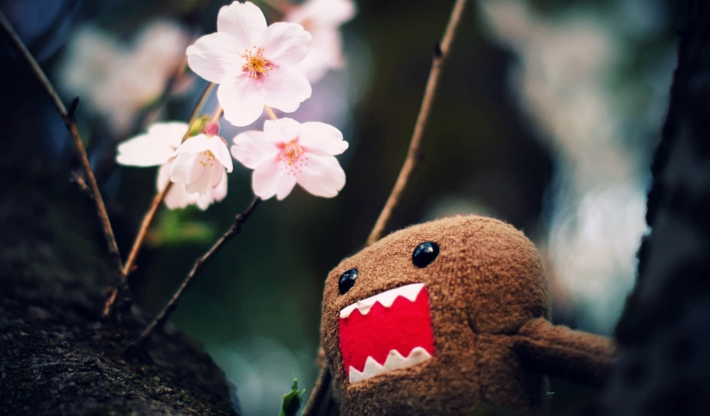 Domo Kun And Tree Blossoms