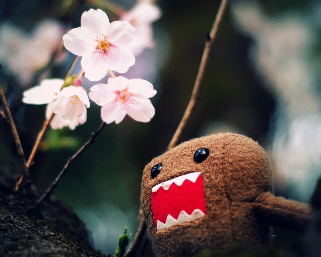 Domo Kun And Tree Blossoms