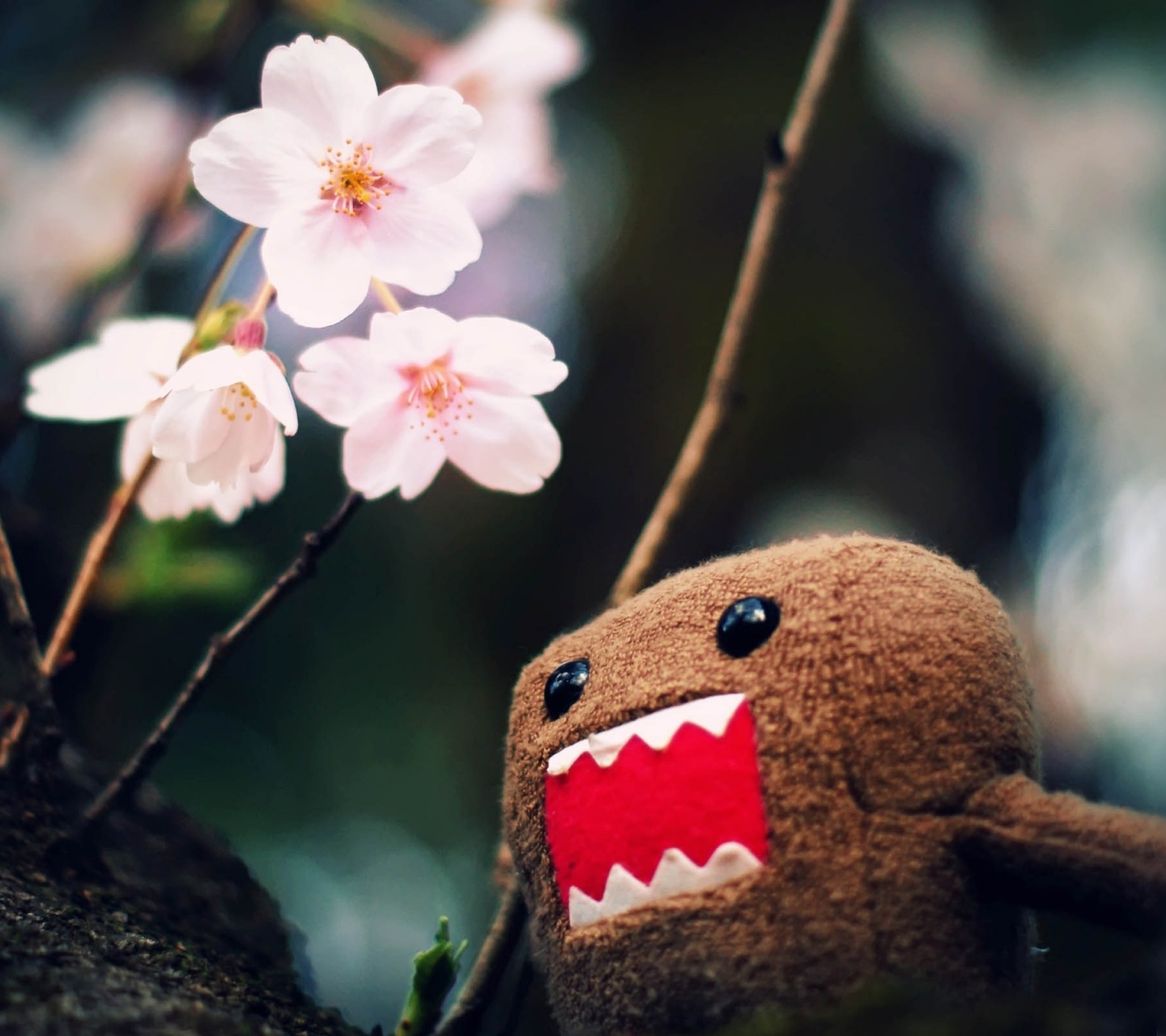 Domo Kun And Tree Blossoms