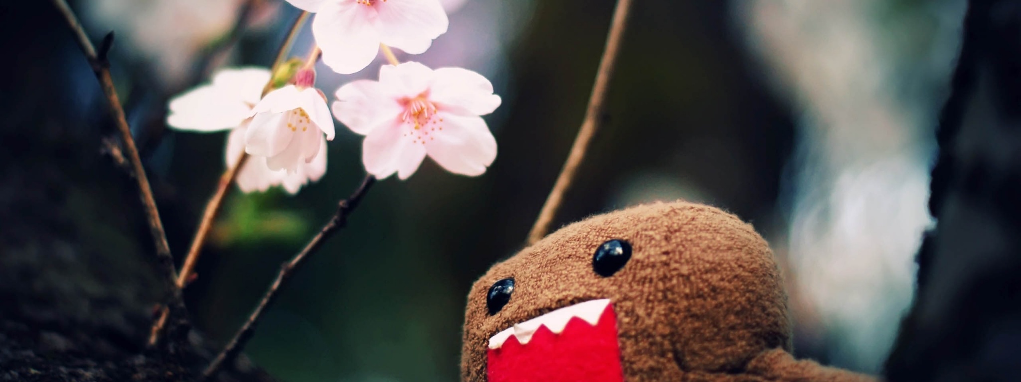 Domo Kun And Tree Blossoms