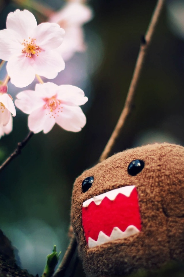 Domo Kun And Tree Blossoms