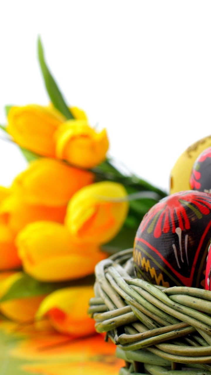 Easter Basket Of Eggs And Tulips