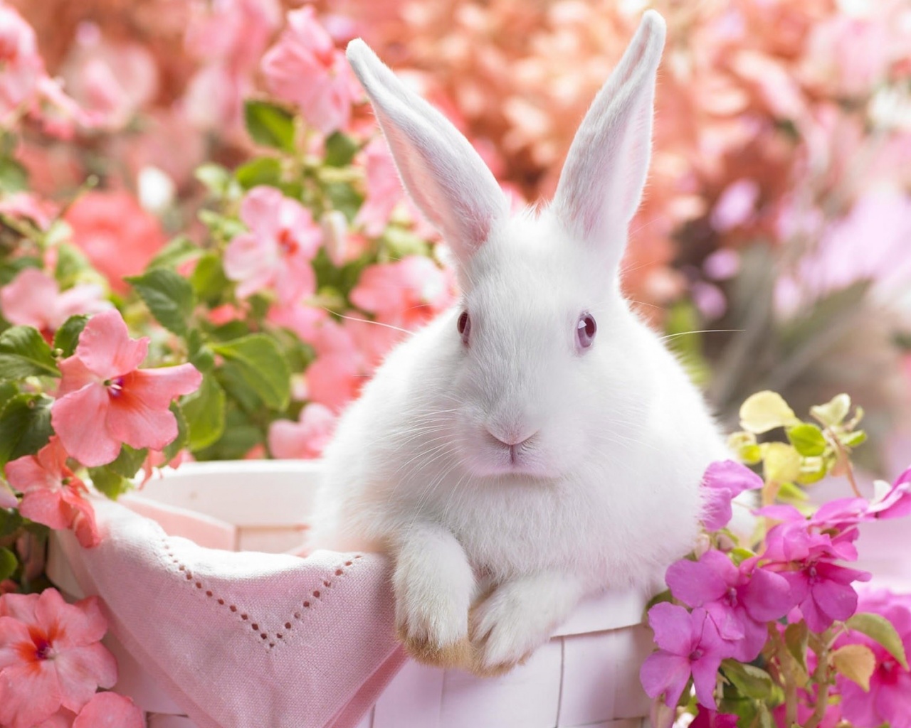 Easter Bunny Holiday Wallpaper