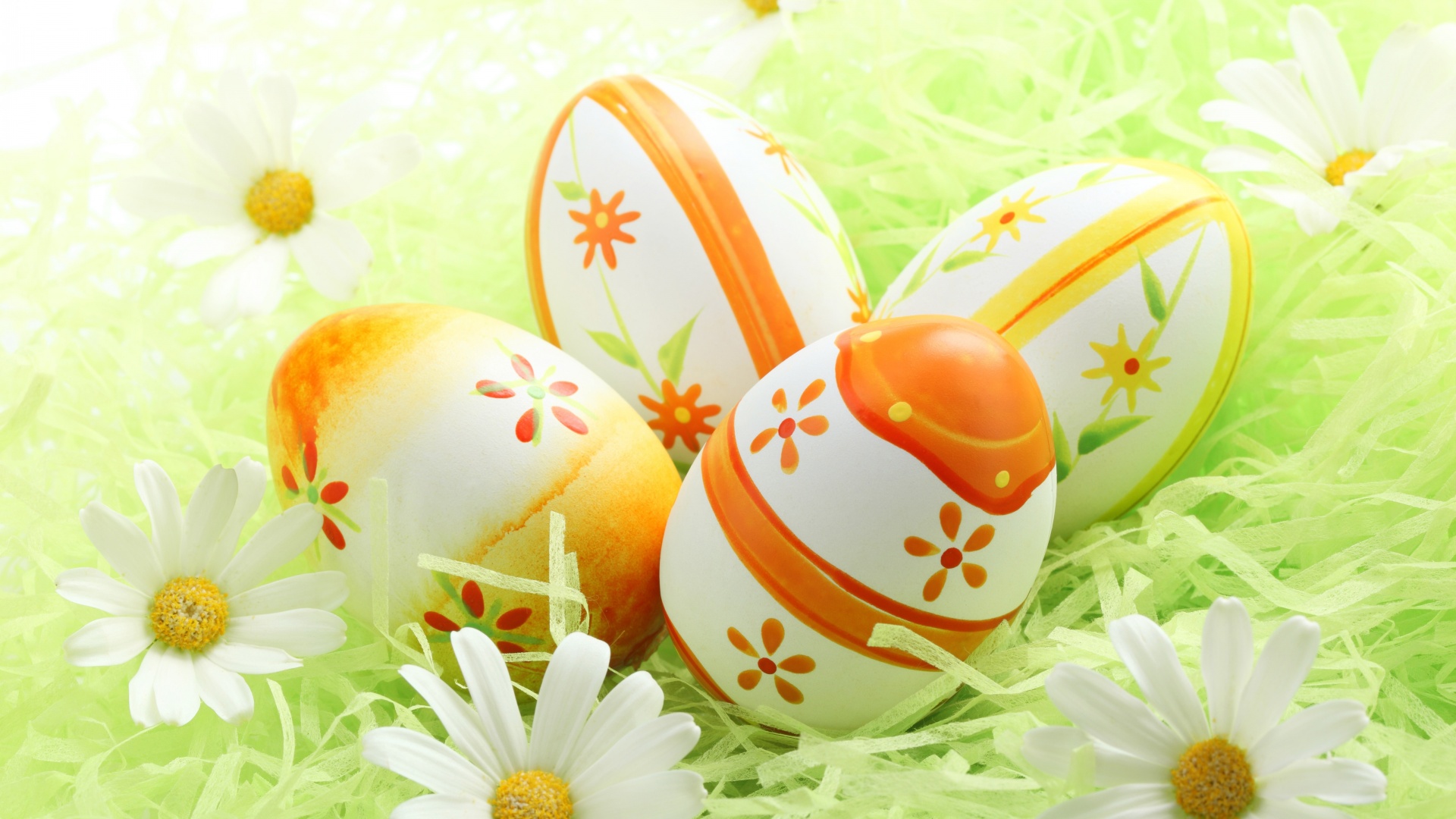 Easter Eggs Among The Daisies