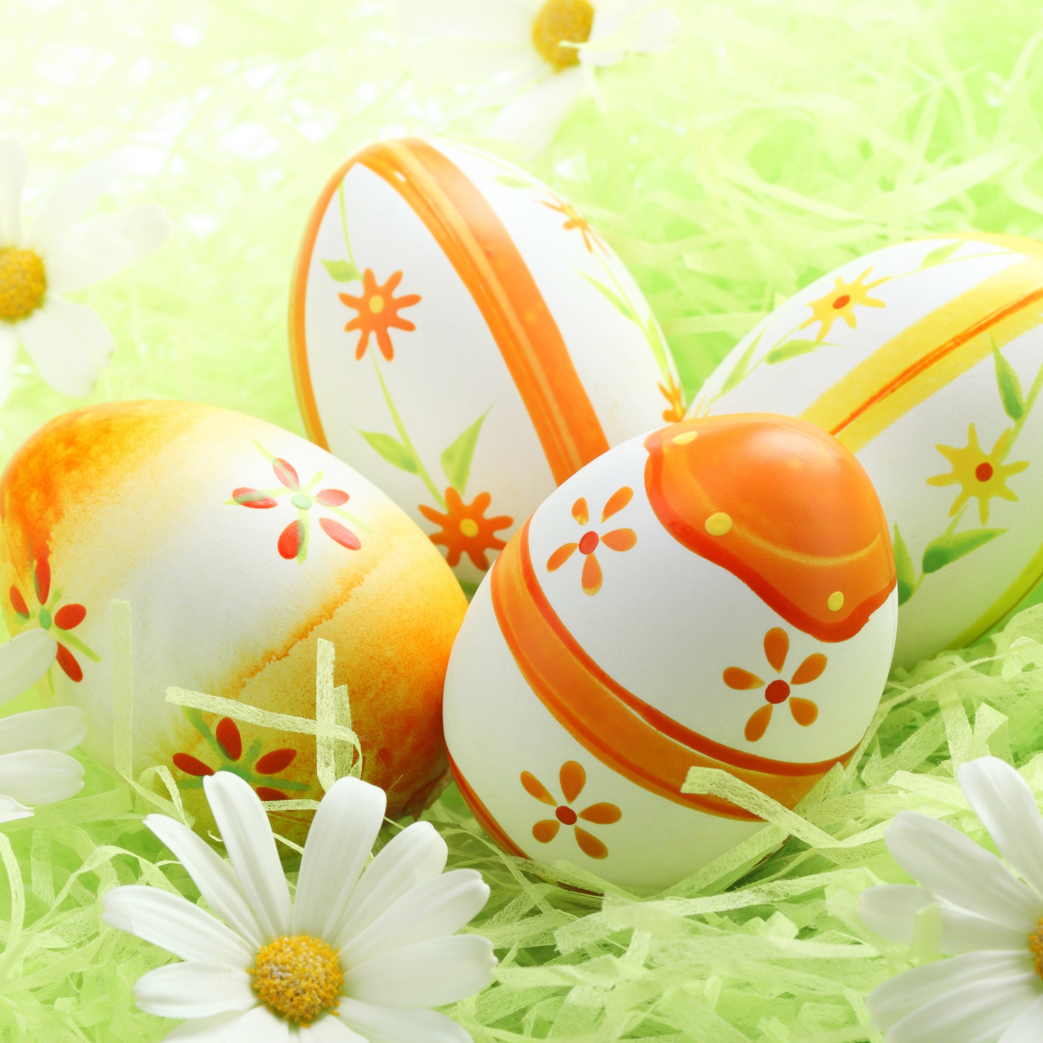 Easter Eggs Among The Daisies