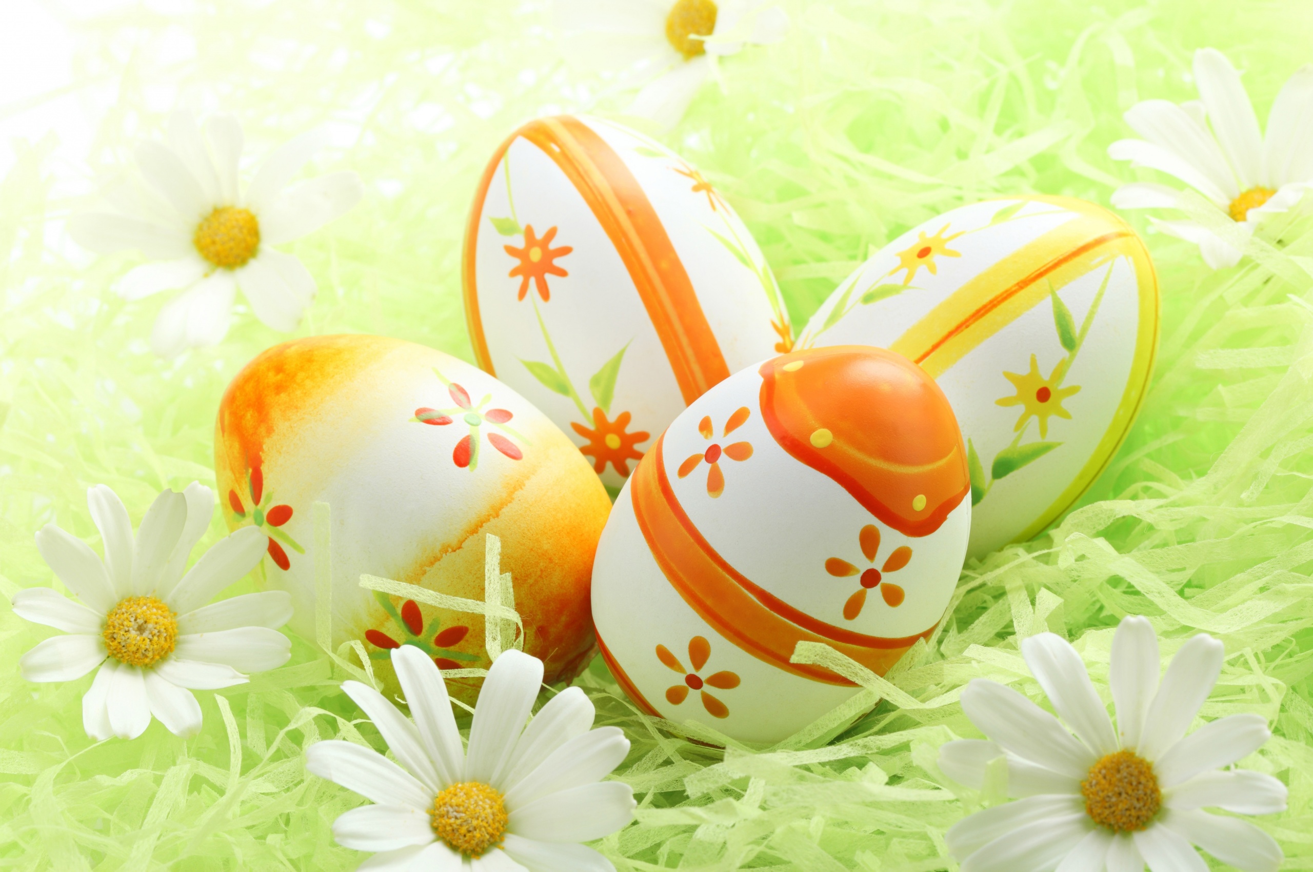 Easter Eggs Among The Daisies