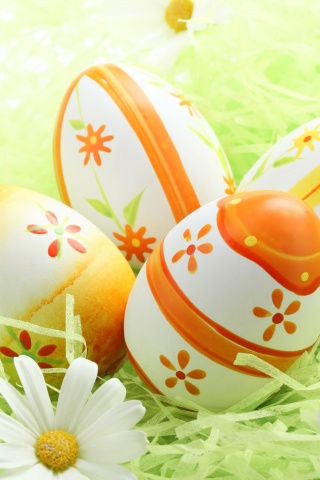 Easter Eggs Among The Daisies