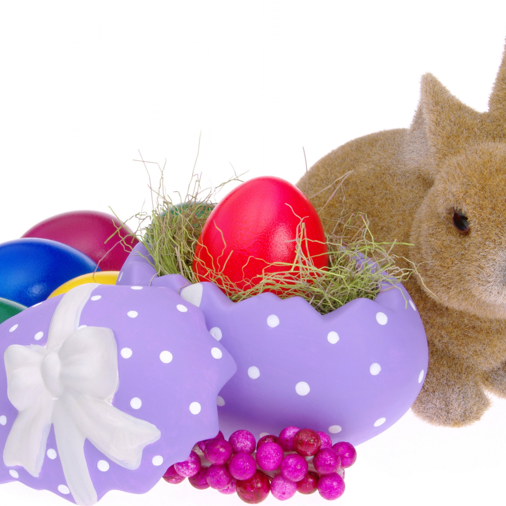 Easter Eggs And Bunny