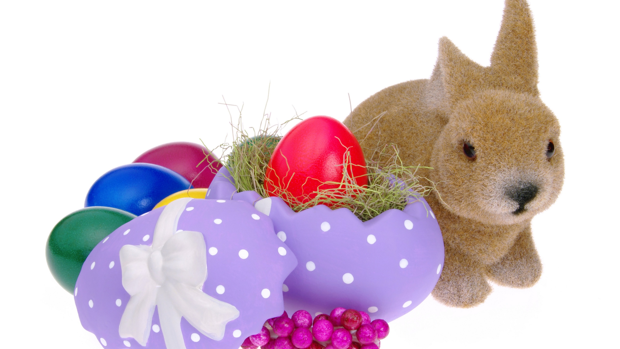 Easter Eggs And Bunny