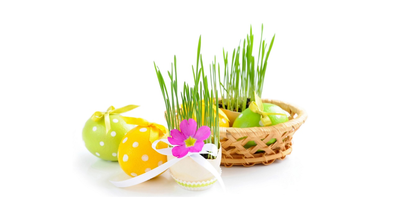 Easter Eggs And Decoration