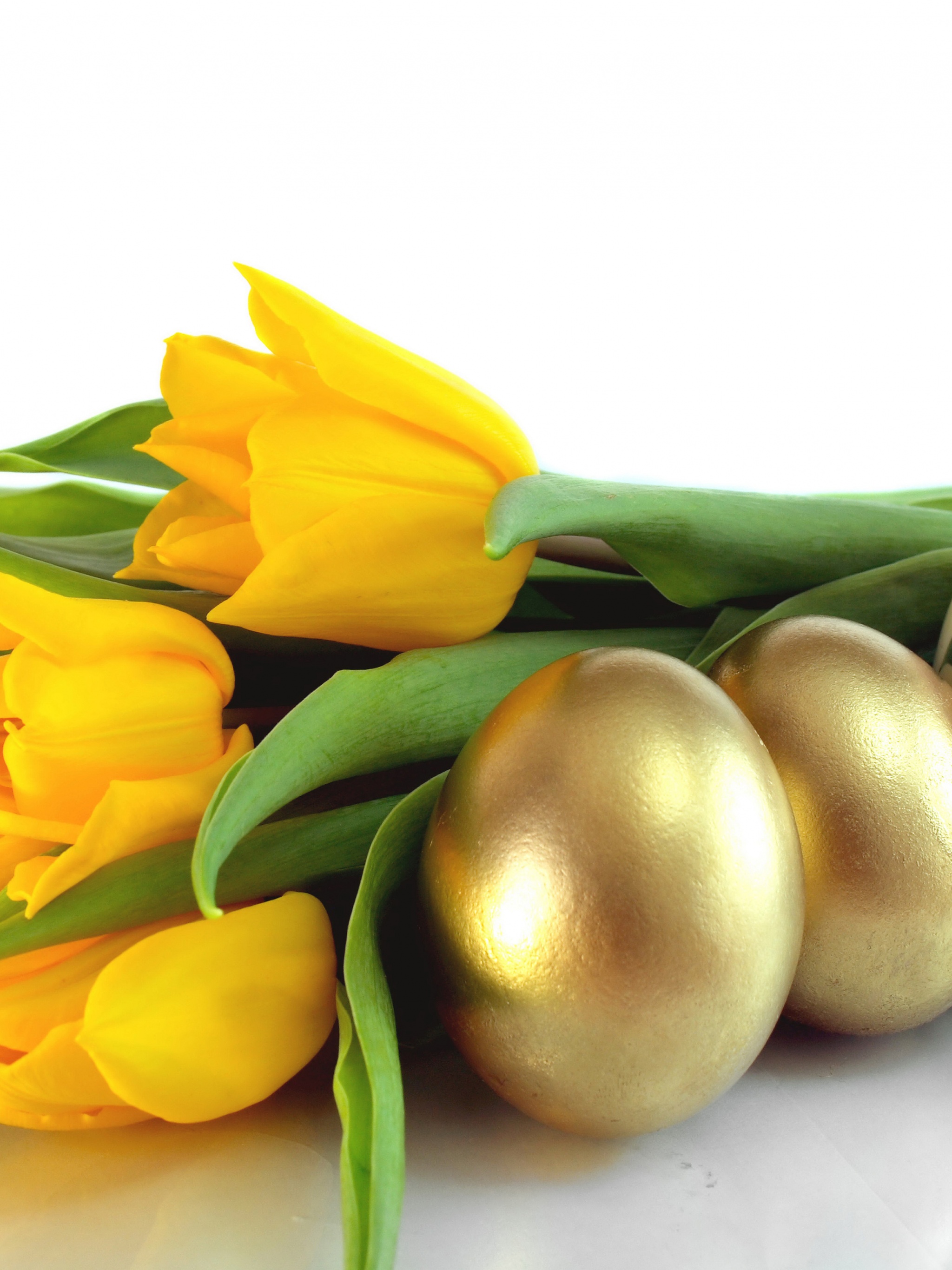 Easter Eggs And Yellow Tulips