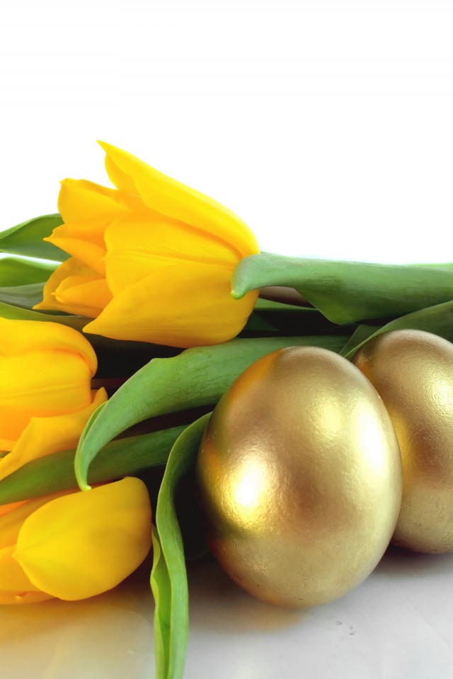 Easter Eggs And Yellow Tulips