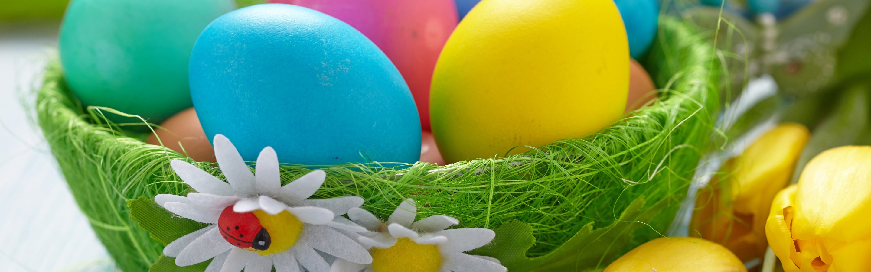 Easter Eggs In A Green Basket