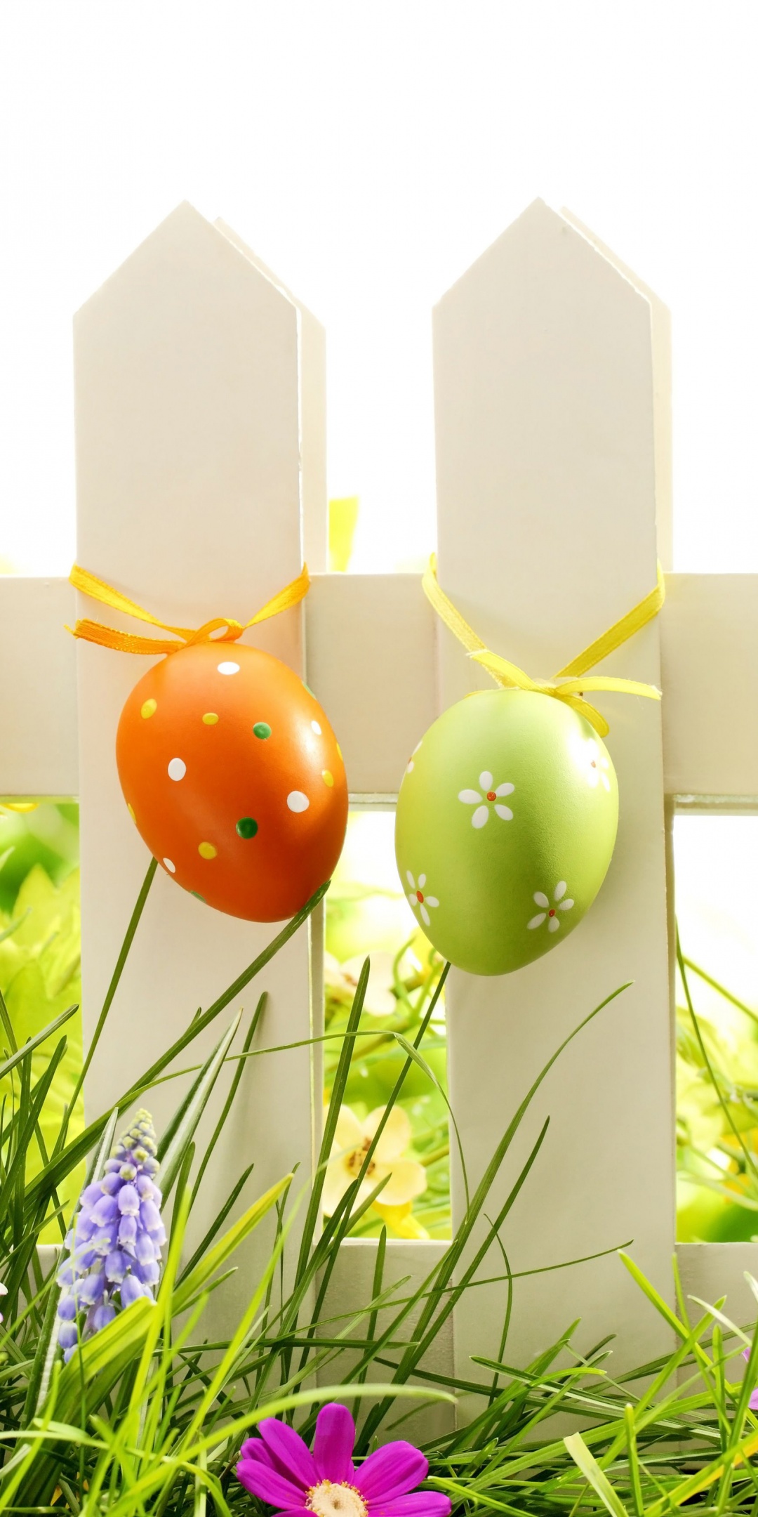 Easter Eggs On Fence