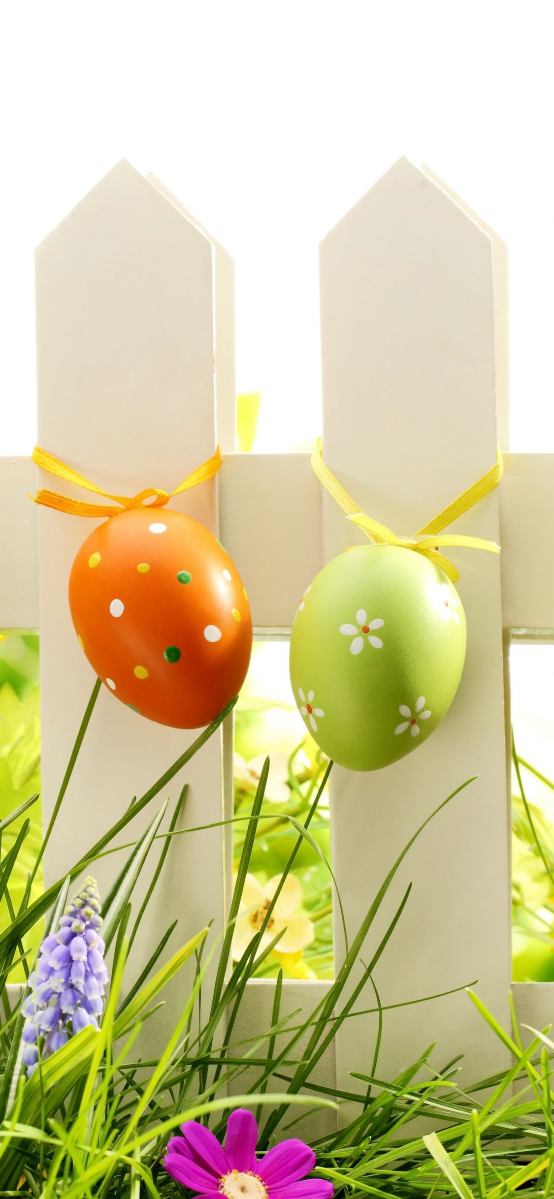 Easter Eggs On Fence