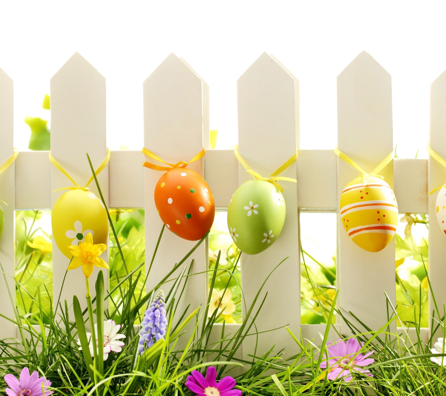 Easter Eggs On Fence