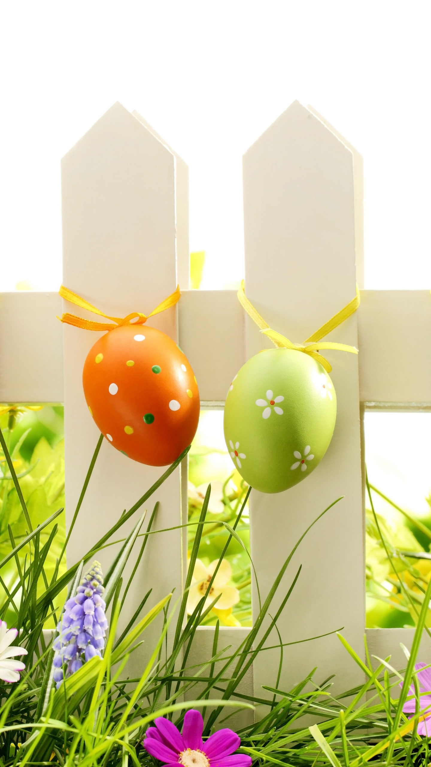 Easter Eggs On Fence