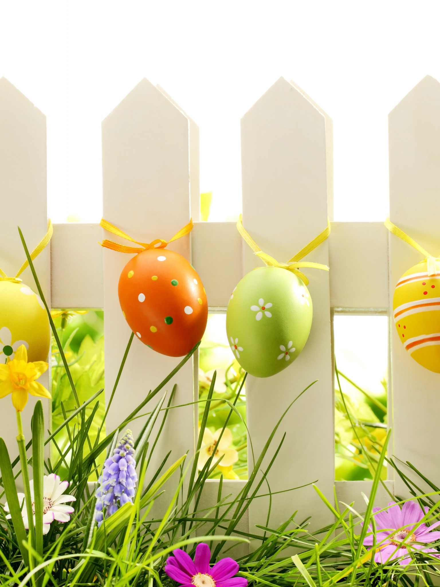 Easter Eggs On Fence