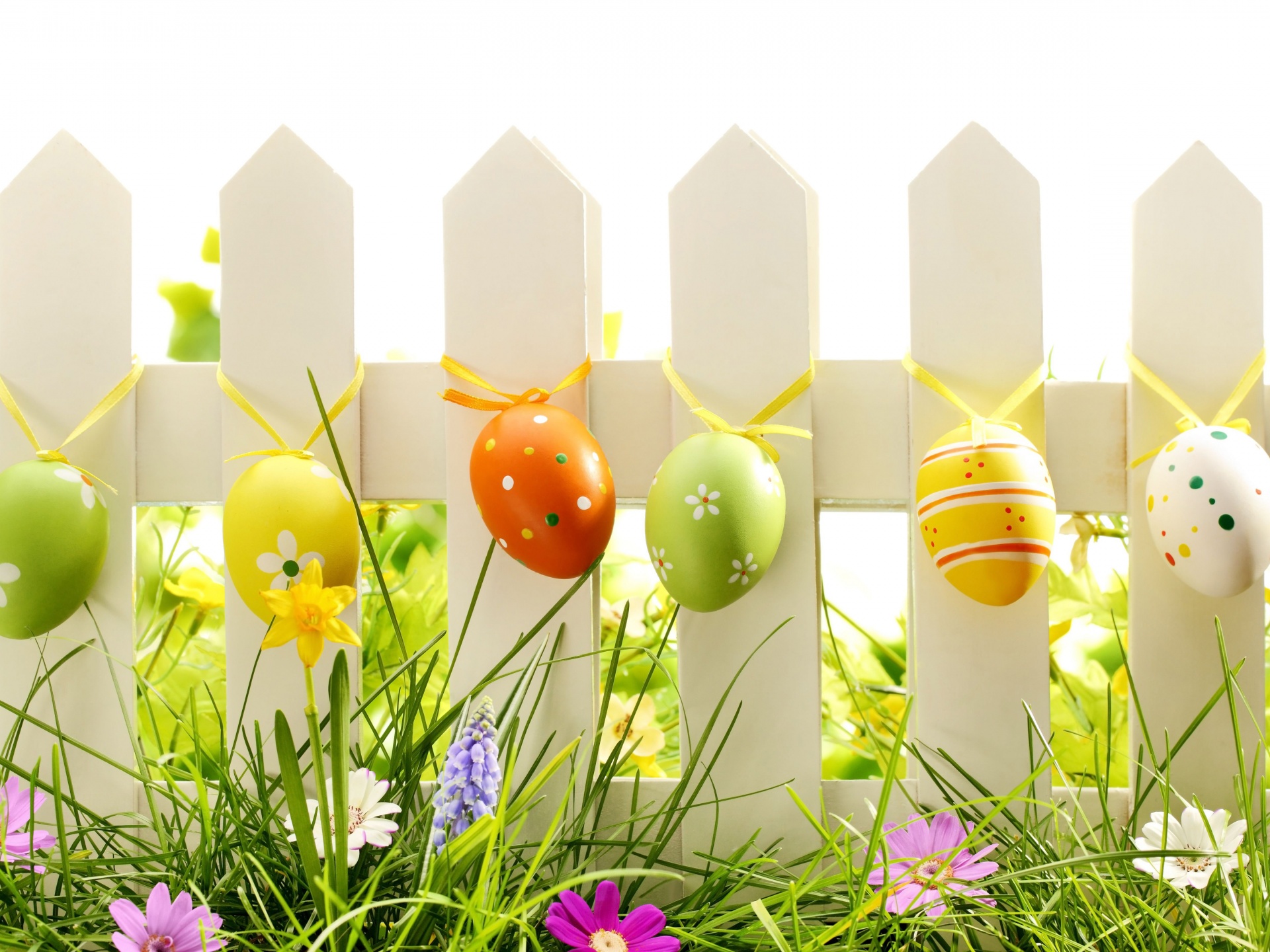 Easter Eggs On Fence