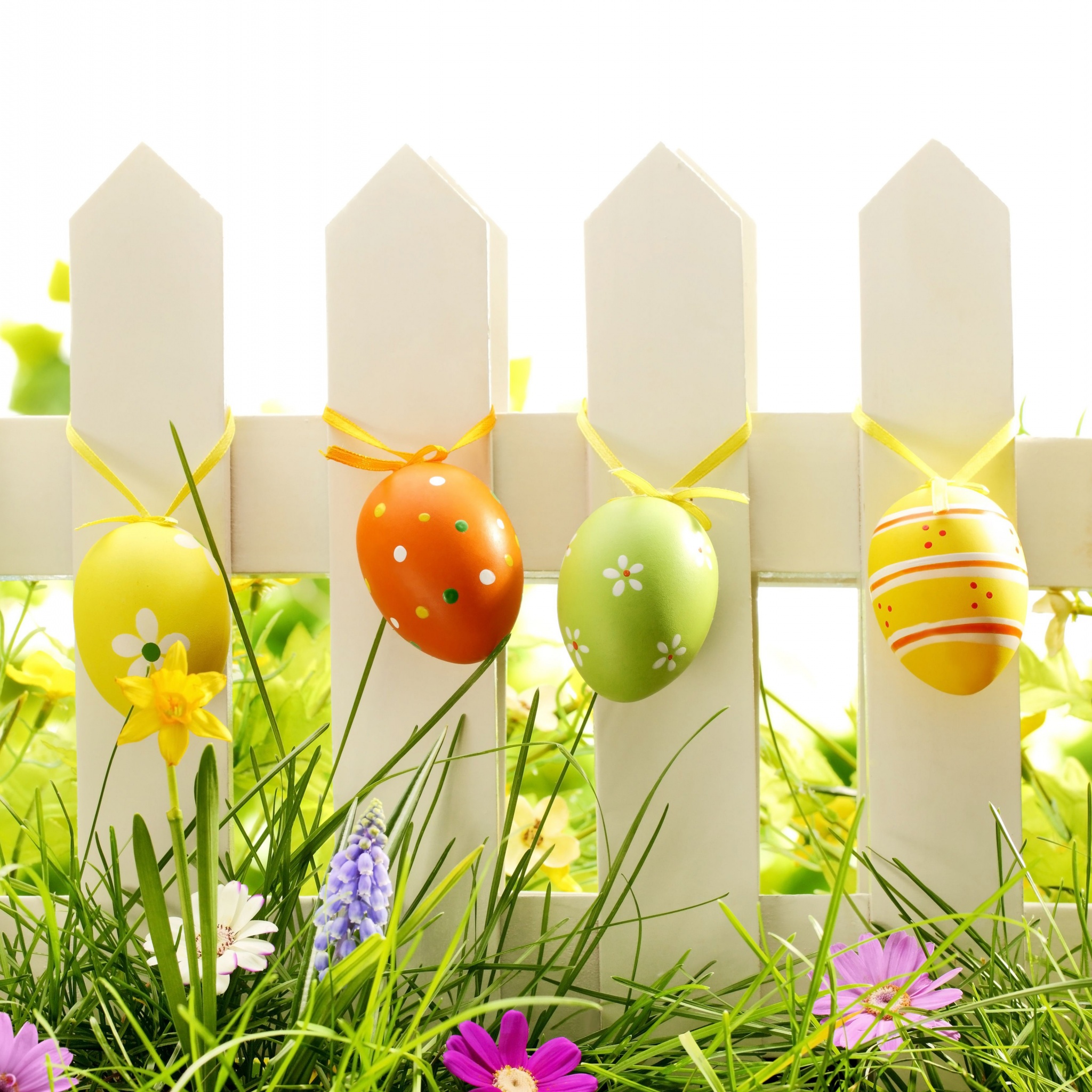 Easter Eggs On Fence