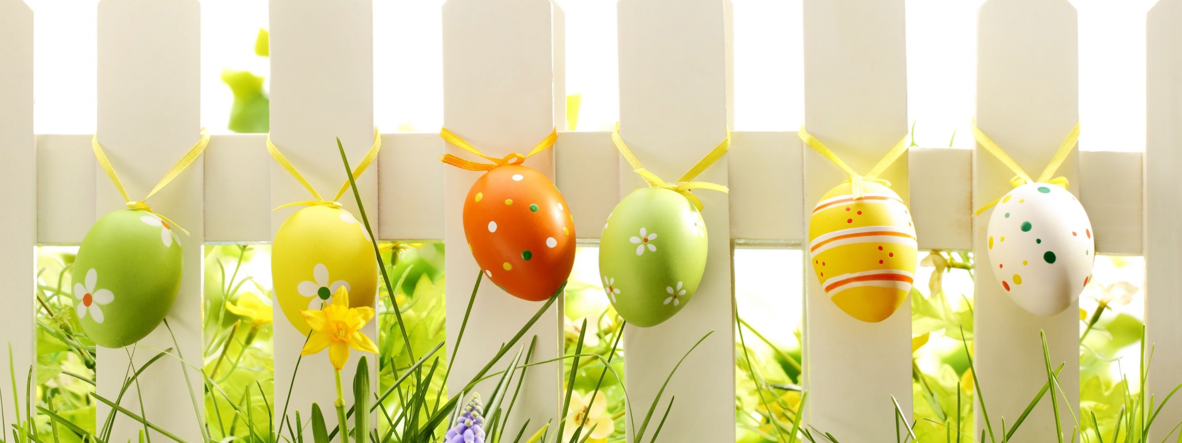 Easter Eggs On Fence