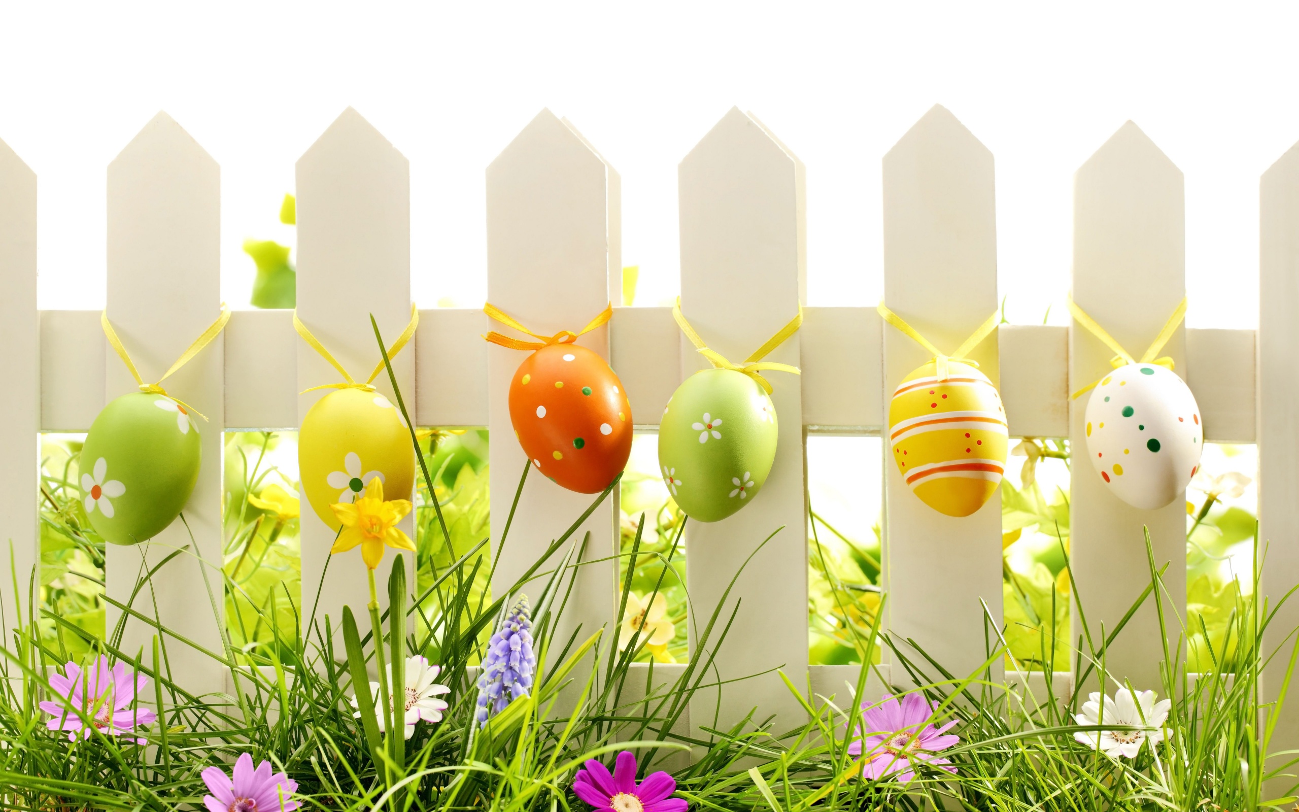 Easter Eggs On Fence