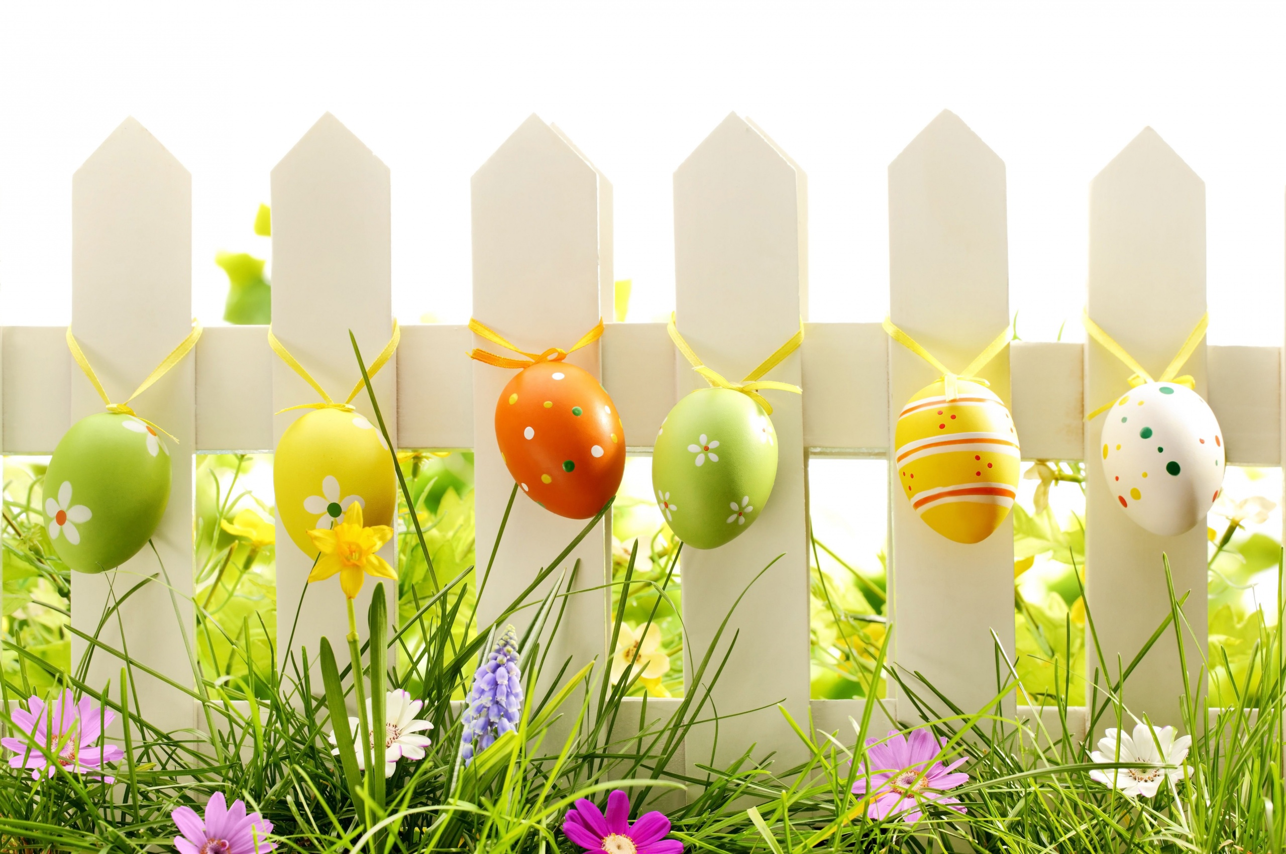 Easter Eggs On Fence