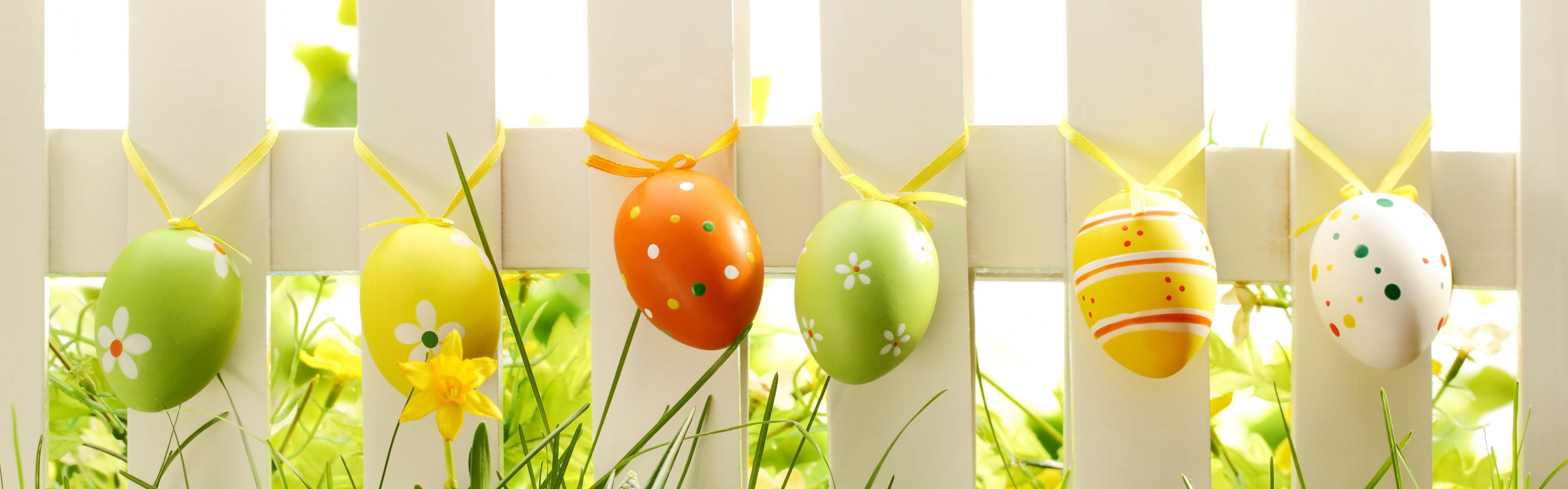 Easter Eggs On Fence