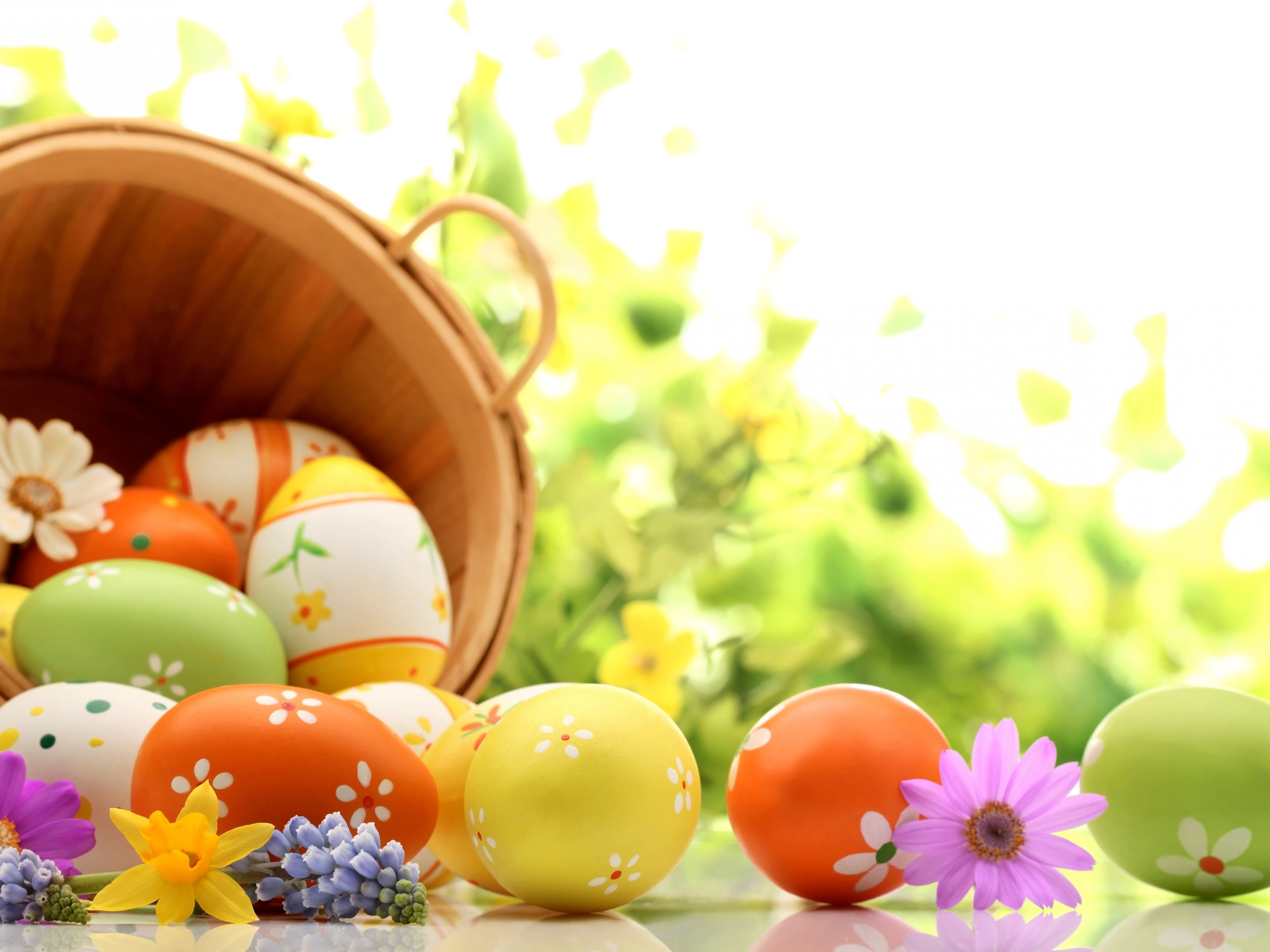 Easter Eggs Spring Wallpaper