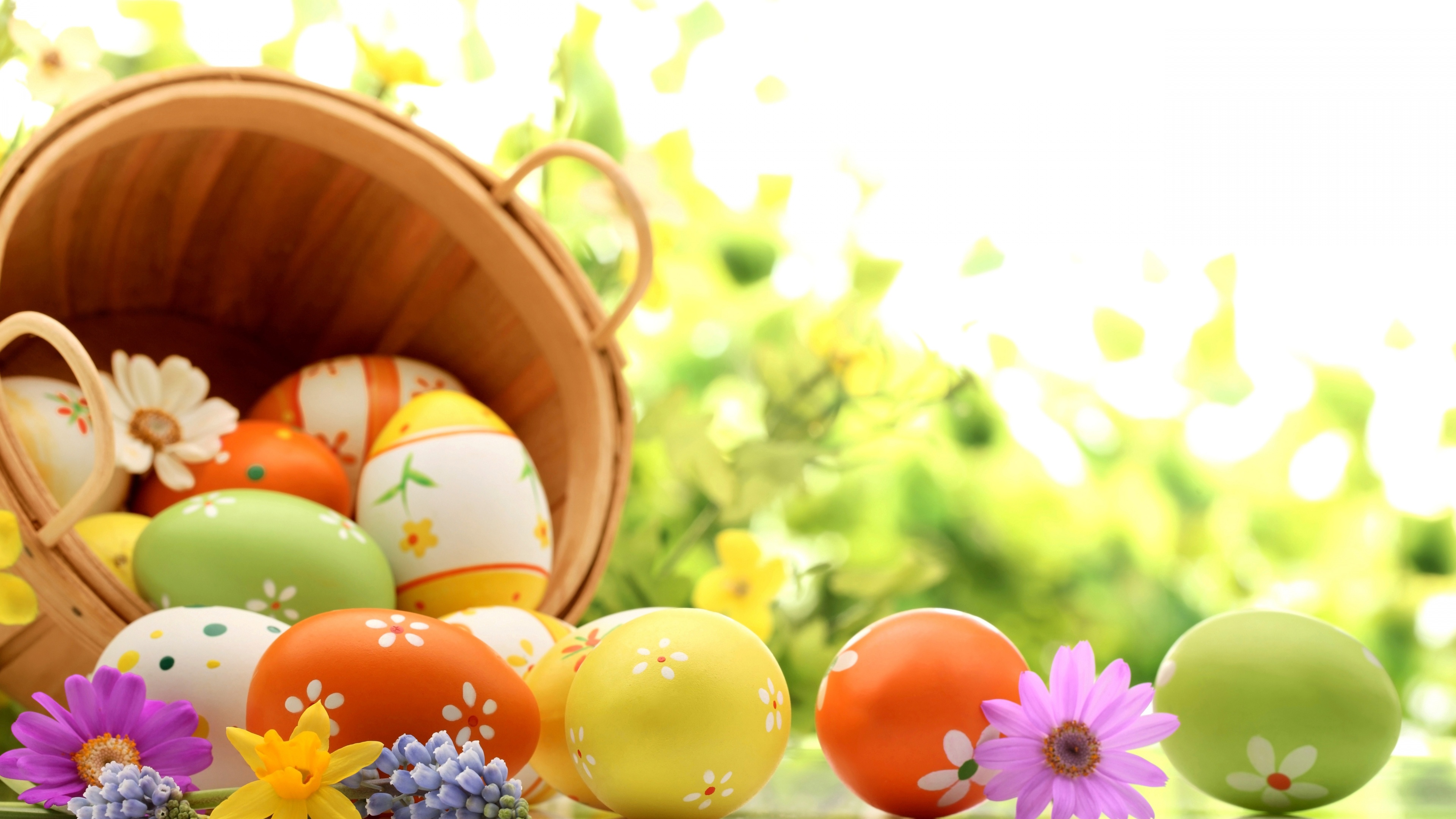 Easter Eggs Spring Wallpaper