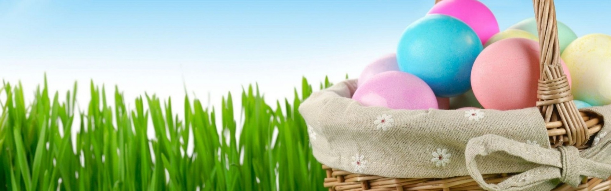 Easter Holiday Eggs Basket Flowers Grass Herbs