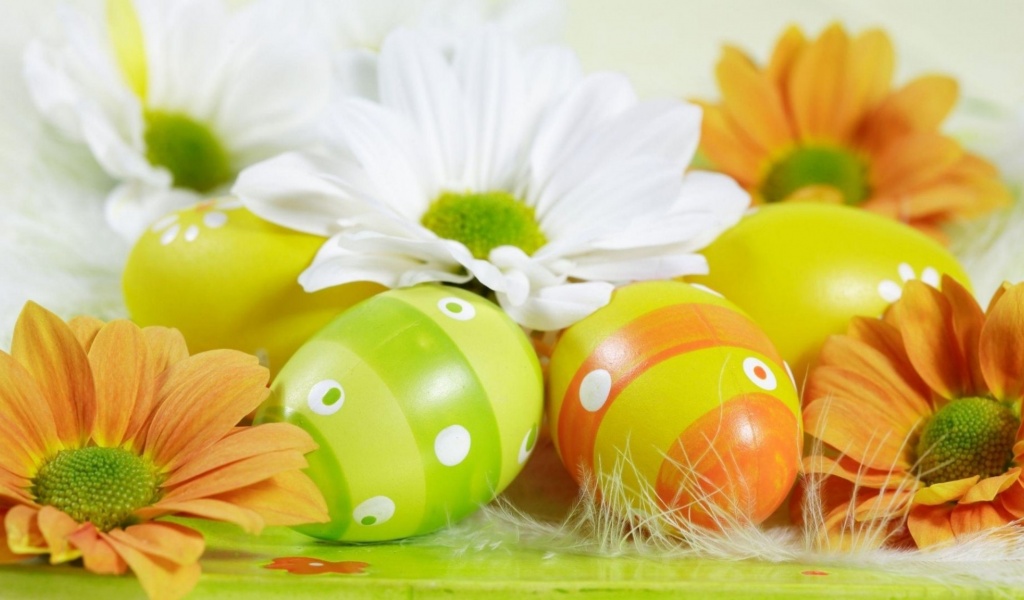 Easter Holiday Eggs Flowers Feather