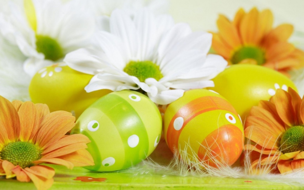 Easter Holiday Eggs Flowers Feather