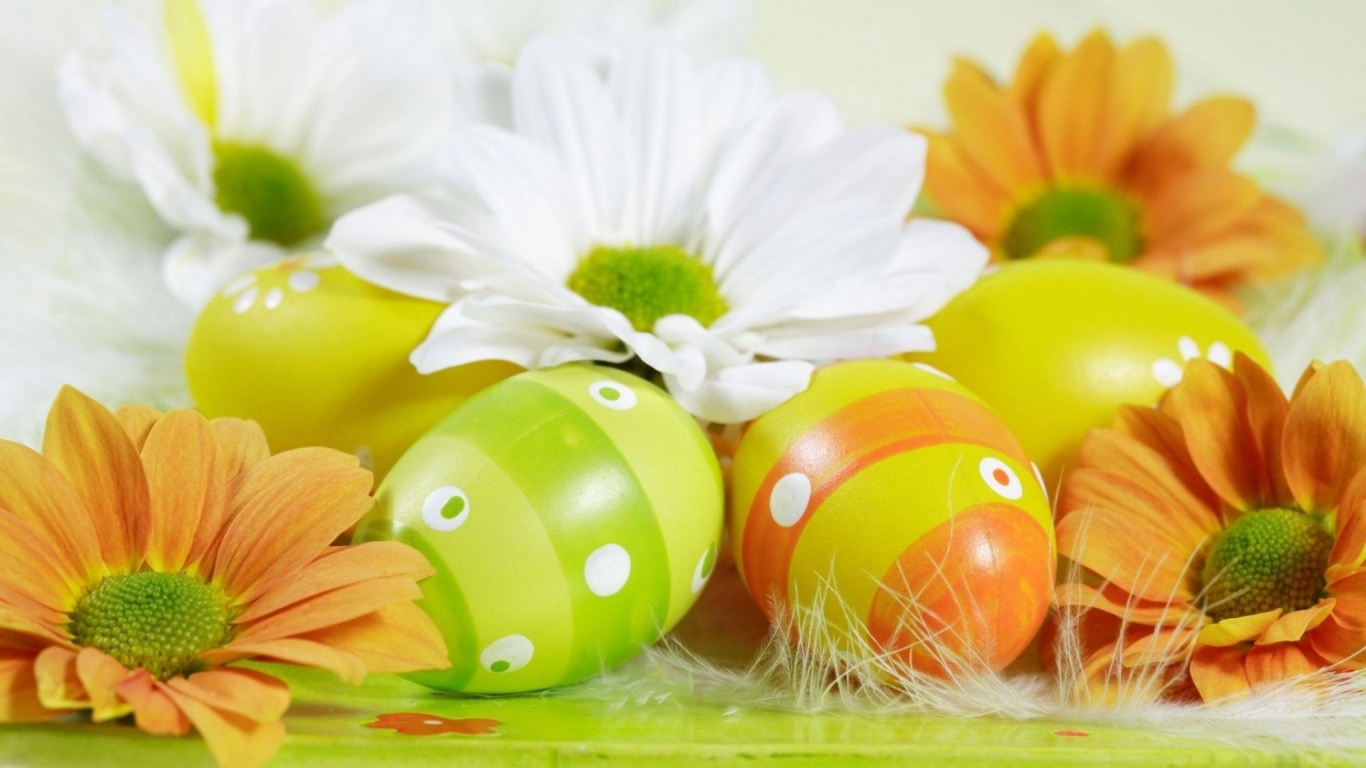 Easter Holiday Eggs Flowers Feather